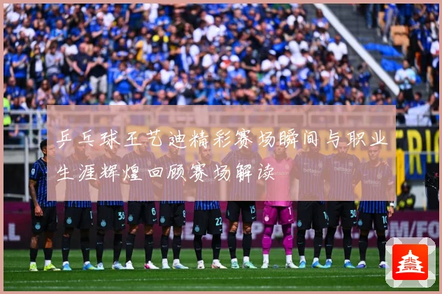 乒乓球王艺迪精彩赛场瞬间与职业生涯辉煌回顾赛场解读